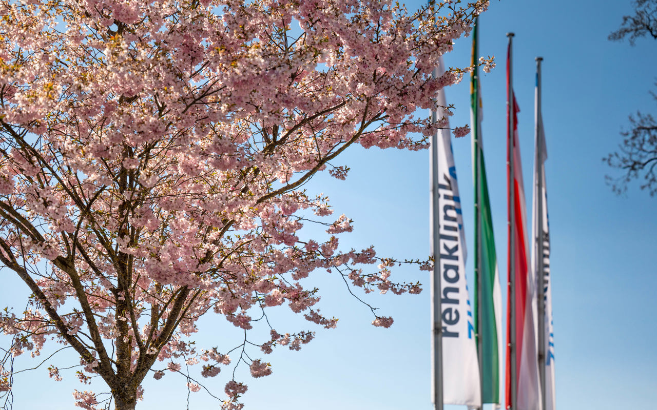 Rehaklinik  Zihlschlacht Fahnen und Kirschbaum