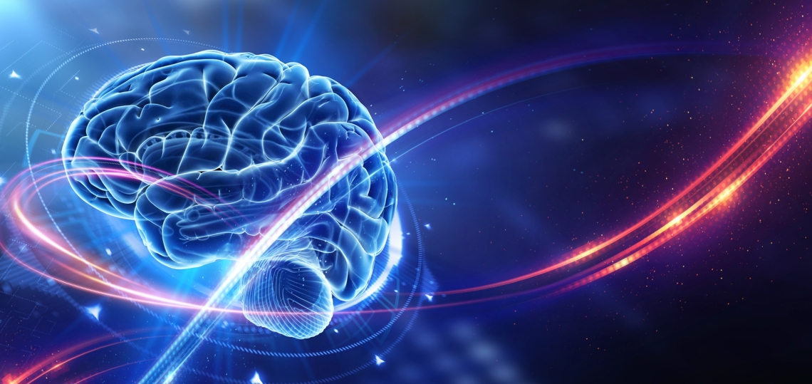 Gesundheitsvortrag Brainhealth, Claudia Baum 14.12.2024 Bild