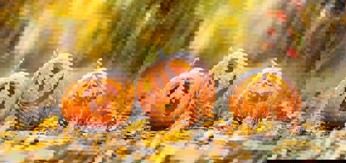 Zauber Event Daniel Jaag 20251029 Bild