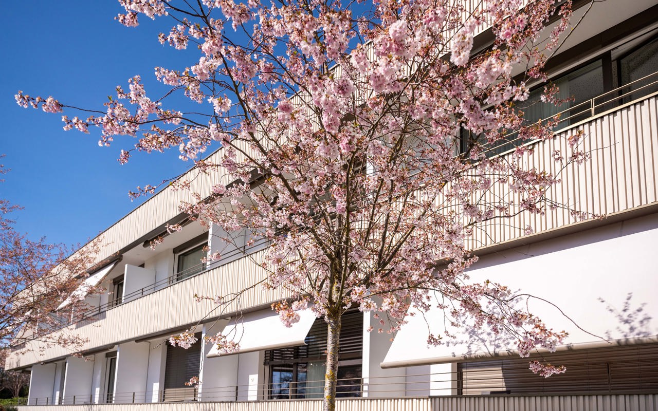 Rehaklinik Zihlschlacht Oasis Gebäude